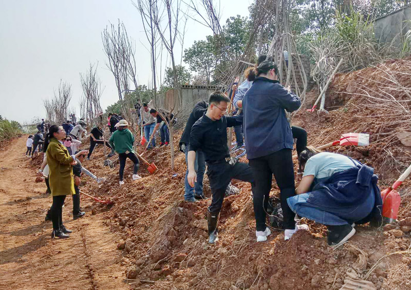 fh至尊(中国)官方网站