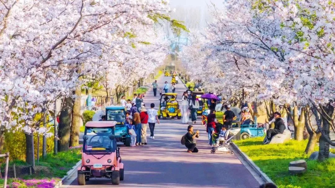 pg电子上新季丨大运力超能巴士助力旅游经济一起“繁花”